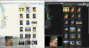 FastStone Image Viewer 2020 Free Download