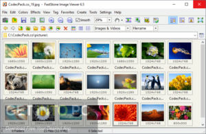 FastStone Image Viewer 2020 Free Download