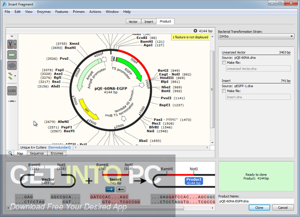 GSL Biotech SnapGene 2021 Free Download GSL Biotech SnapGene 2021 Free Download