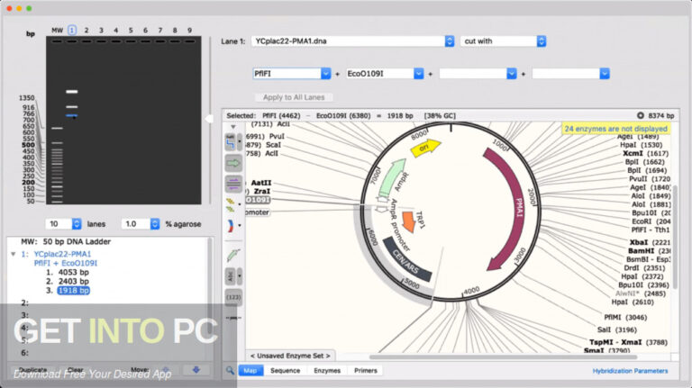 GSL Biotech SnapGene 2021 Free Download GSL Biotech SnapGene 2021 Free Download